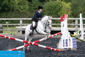 Class 3 -  Fences not above 2'3